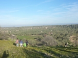 Clicca qui per vedere l'immagine in dettaglio